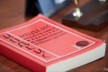 Фотография к новости: ІІМ: Жеті күнде 3 мыңға жуық қылмыс жасалды