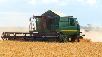 Фотография к новости: Елімізде 16,5 млн гектарға жуық өнім жиналды