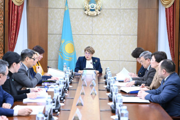 Фотография к новости: Сенатта Инклюзия жөніндегі кеңестің отырысы өтті