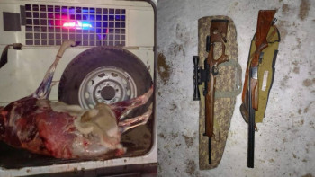 Фотография к новости: Павлодарлық полицейлер заңсыз аң аулау фактісін тоқтатты