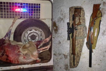 Фотография к новости: Павлодарлық полицейлер заңсыз аң аулау фактісін тоқтатты