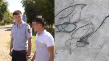 Фотография к новости: Түркістан облысында мал ұрлауды кәсіп қылған екі азамат құрықталды