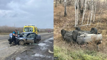Фотография к новости: СҚО-да жол апатынан жеті адам зардап шекті