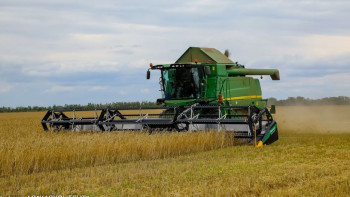 Фотография к новости: Биыл елімізде 11 млн тонна бидай жиналды