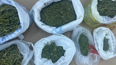 Түркістан облысының тұрғынынан 15 келіден астам марихуана тәркіленді