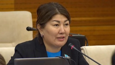 Депутат боқауыз сөздері бар киноларға тыйым салуды ұсынды