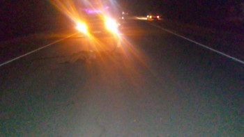 Фотография к новости: Павлодар облысында жаяу жүргінші қаза тапты