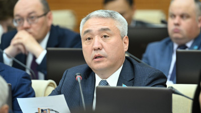 Мәжілісте шикізаттық емес тауарлардың экспортын ілгерілететін заң қабылданды