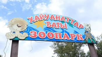 Фотография к новости: Қарағанды хайуанаттар бағы жаңа жануарлармен толығады