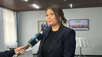 Фотография к новости: Күн сайын 342 адам тұрмыстық зорлық-зомбылыққа ұшырайды - Зәкиева