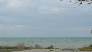 Фотография к новости: Қазақстан және Ресей арасындағы трансшекаралық суды пайдалану маңызды - сарапшы