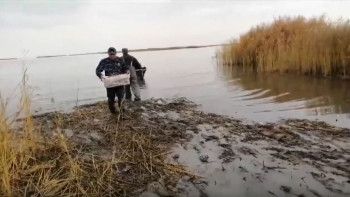 Фотография к новости: Абай облысында браконьерден 100 келі балық тәркіленді