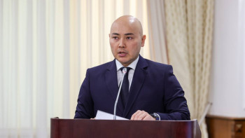 Фотография к новости: Елімізде бизнесті тексеру екі есе азаяды - министр