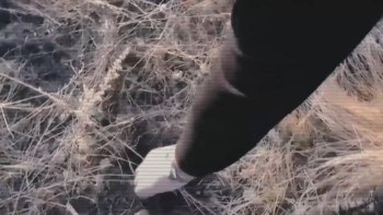 Фотография к новости: Полиция еліміздің үш қаласында жасырылған 500 есірткі орамын тәркіледі