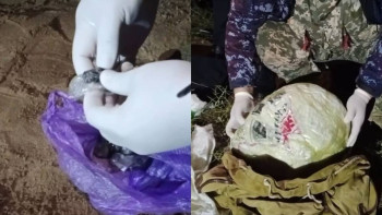 Фотография к новости: Жамбылдық тұрғын есірткі жинау үшін фазендада малшы болып жұмыс жасаған