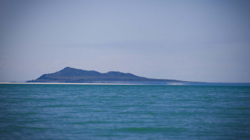 Фотография к новости: Алматыдағы көлдерге тазалау жұмыстары жүргізілді