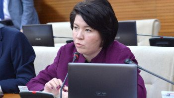 Фотография к новости: Әйел мен баланы қорлағандарға аяушылық танытуға болмайды - депутат