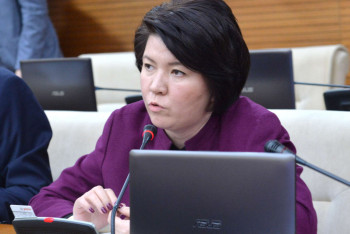 Фотография к новости: Әйел мен баланы қорлағандарға аяушылық танытуға болмайды - депутат