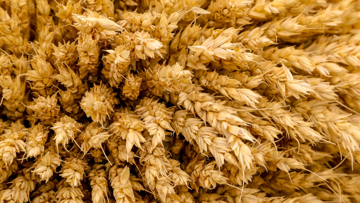  BAQ.KZ  - архив