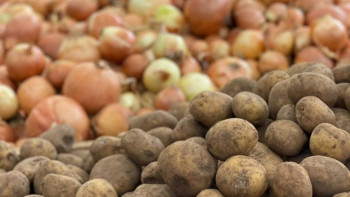 Фотография к новости: Шымкентте әлеуметтік маңызы бар азық-түлік бағасы бақылауда