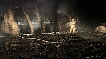 Фотография к новости: Риддерде тұрғынның қысқа әзірлеген 3 жарым тонна пішені өртеніп кетті