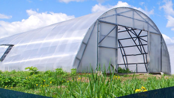 Фотография к новости: Қазақстандағы ең үлкен жылыжай кешені Шымкент қаласында жүзеге асырылатын болады