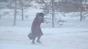 Фотография к новости: Солтүстікте қарлы боран болады