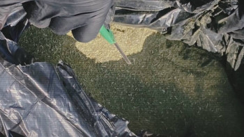 Фотография к новости: Қараша айының басынан бері 160 есірткі қылмыскері ұсталды