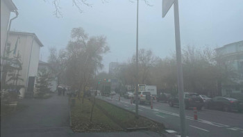 Фотография к новости: Алматыны тұман басты