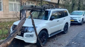 Фотография к новости: Төтеншеліктер алматылықтарға ескерту жасады