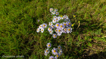 Фотография к новости: БҚО әкімдігі қытайлық инвесторларға жерді жалға бергені рас па?