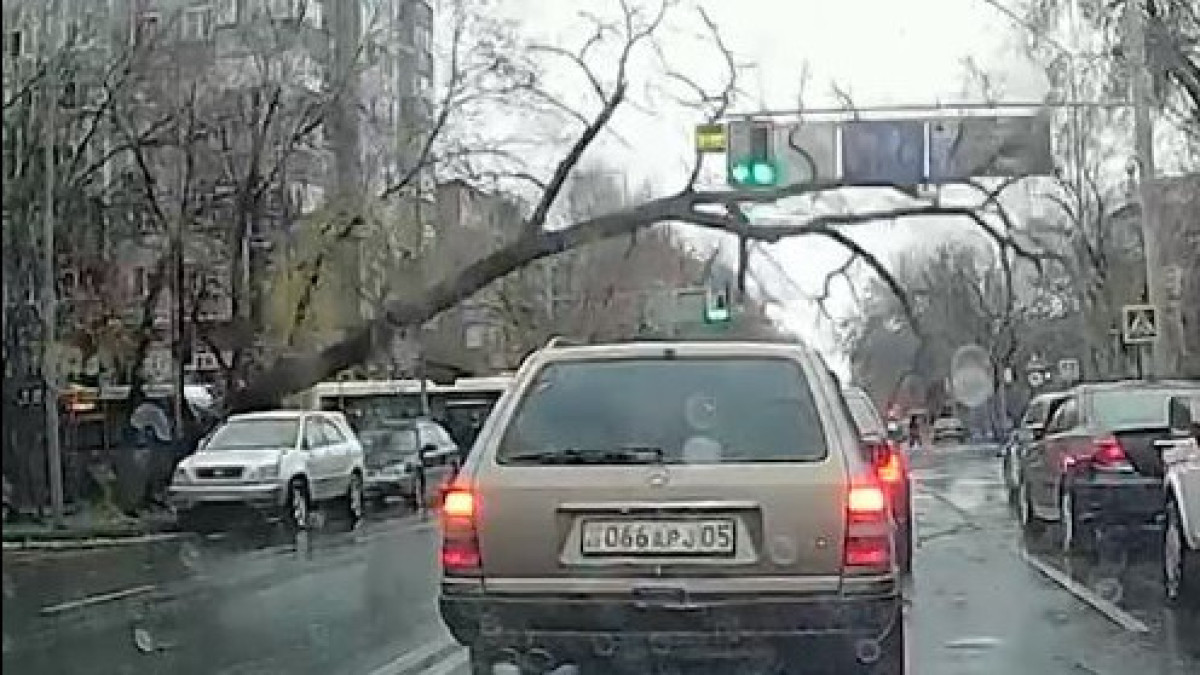  видеодан кадр