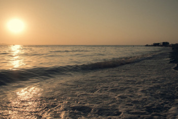 Фотография к новости: Ақмола облысында 37 су қоймасы мемлекетке қайтарылды