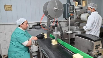 Фотография к новости: Шымкентте қайта өңделген ауыл шаруашылығы өнімдерінің көлемі артып келеді