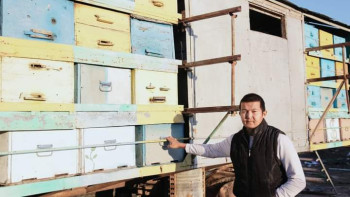 Фотография к новости: Шымкентте мемлекеттік қолдаудың арқасында омарта шаруашылығы дамып келеді