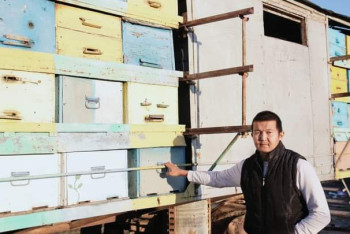 Фотография к новости: Шымкентте мемлекеттік қолдаудың арқасында омарта шаруашылығы дамып келеді