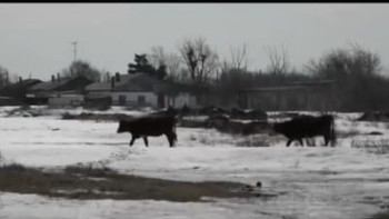 Фотография к новости: Мемлекетке 220 мың га жер қайтарылды