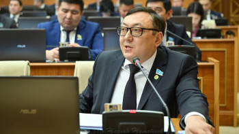 Фотография к новости: Депутат: Коляскалардың бағасы автокөлік бағасымен тең болып қалды