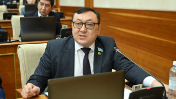 Фотография к новости: «І, ІІ топтың ақшасына қарап жүрген жоқпыз». Депутат мүгедектікті растау туралы айтты