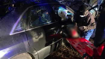 Фотография к новости: Жетісу облысында жолға шауып шыққан жылқы адам өліміне себеп болды