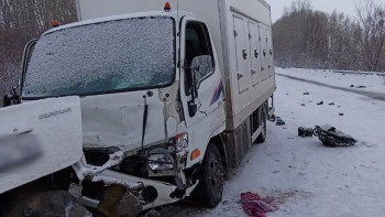 Фотография к новости: ШҚО-да жол апатынан екі адам көз жұмды