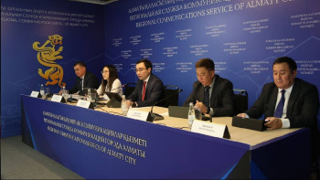 Фотография к новости: Алматыда 13 мыңнан астам ағаш кесілді