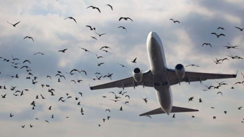 Фотография к новости: Ұшу қауіпсіздігін арттыру бойынша бірқатар іс-шара жүргізілді