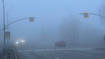 Фотография к новости: Алматыны қою тұман басты