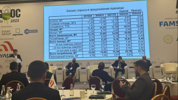 Фотография к новости: Алдағы айларда бидай экспорты артады