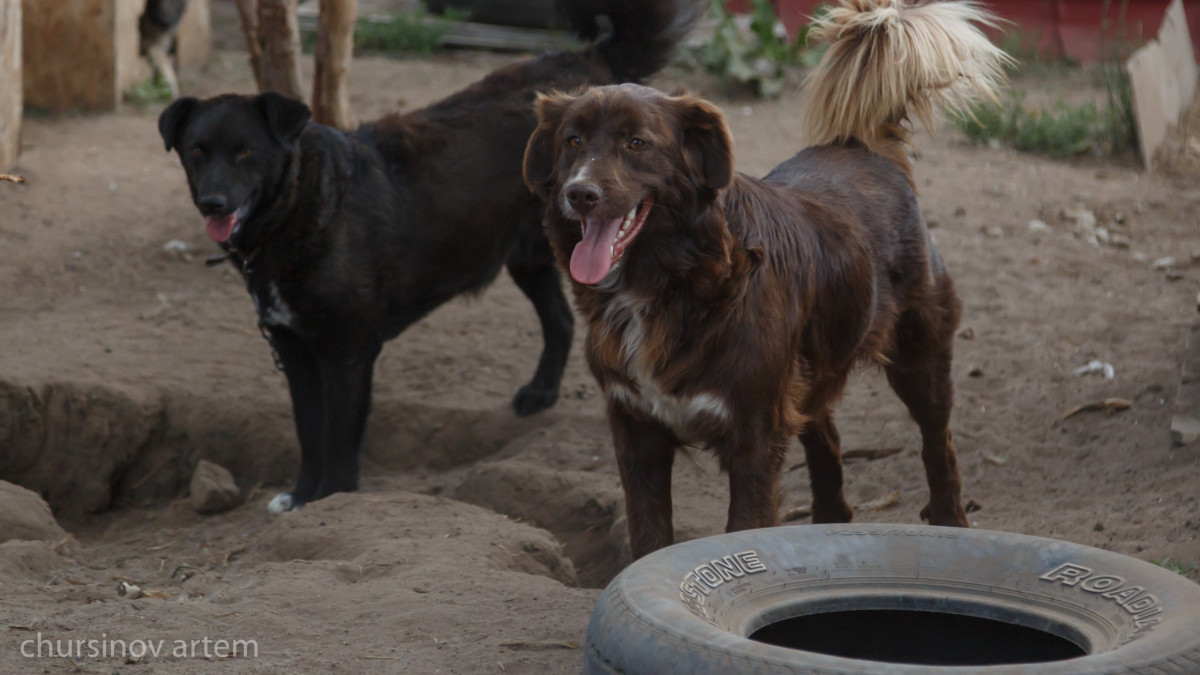  Артём Чурсинов  - архив