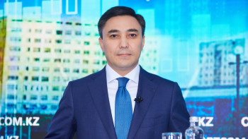 Фотография к новости: Шымкент қаласында бұралқы иттерді ұстауға қанша қаражат бөлінгені белгілі болды