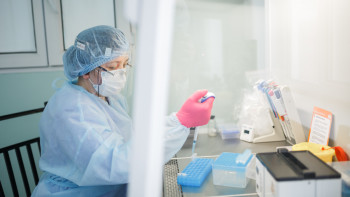 Фотография к новости: Алматыда қызылшамен ауырған баланың 95%-ы екпе алмаған