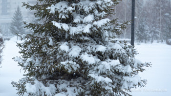 Фотография к новости: Алматыны қалың қар басты