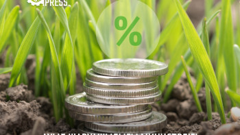 Фотография к новости: Ауыл шаруашылығы министрлігі сыйақы мөлшерлемелерін субсидиялау тетігін жетілдірді